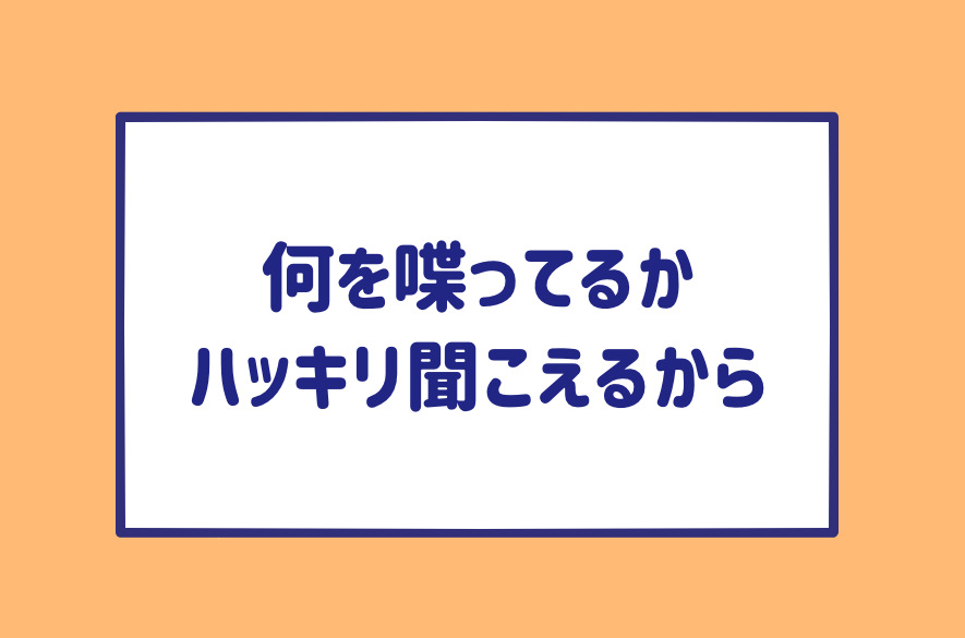 ミカコちゃん質問